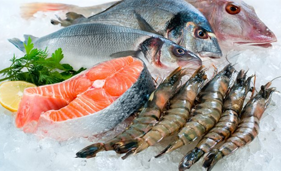 Shrimp and fish exports increase sharply